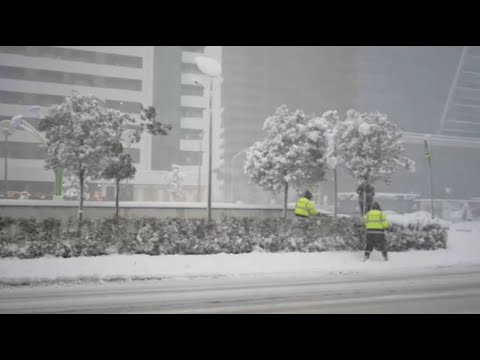 Видео: Курортные города Грузии засыпало снегом