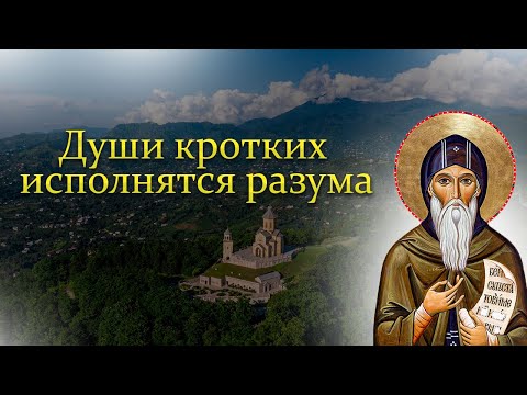 Видео: О кротости, простоте и незлобии - преподобный Иоанн Лествичник
