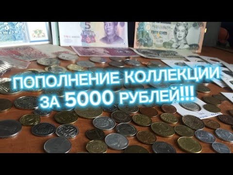 Видео: ПОПОЛНЕНИЕ КОЛЛЕКЦИИ ЗА 5.000 РУБЛЕЙ!!! #монеты #монета #нумизматика #нумизмат #банкноты #ссср