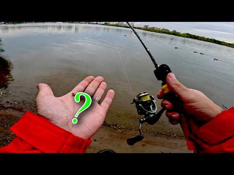 Видео: Вот на ЭТО ОКУНЬ по-любому КЛЮНЕТ!