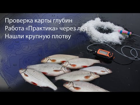Видео: Проверка карты глубин. Работа Практик 7 через лёд. Нашли крупную плотву.