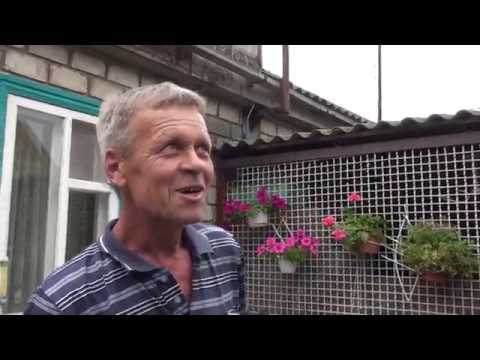 Видео: Кировоградские голуби у Петровича