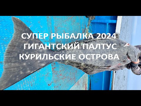 Видео: СУПЕР РЫБАЛКА 2024. ГИГАНТСКИЙ ПАЛТУС