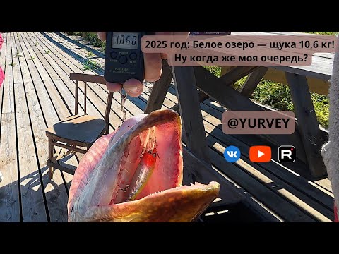 Видео: 2025 год Белое озеро — щука 10,6 кг! Ну когда же моя очередь?