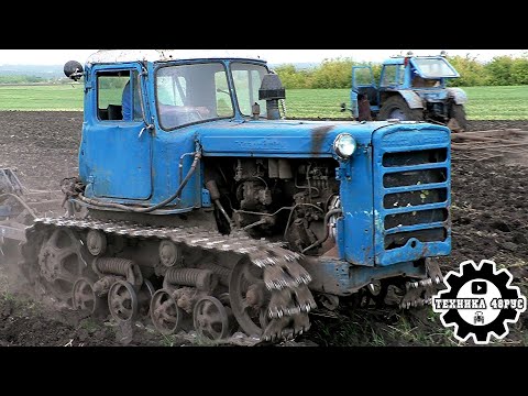 Видео: Тракторы ДТ-75 и МТЗ-80 на бороновании. В бой идут одни старики!