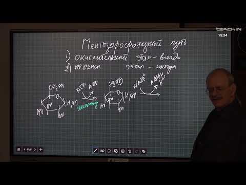 Видео: Гладилин А.К. - Биохимия - 7. Пентозофосфатный путь