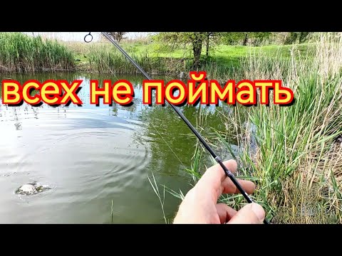 Видео: Мормышинг. Да сколько же здесь рыбы в этой маленькой речке?!