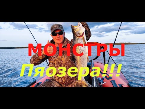 Видео: Монстры Пяозера 2024!!!