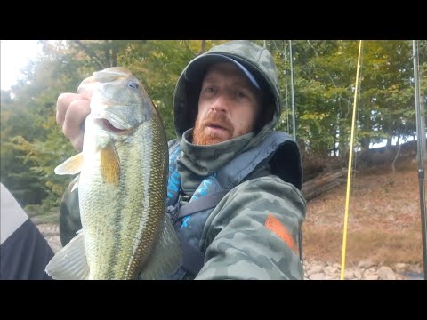 Видео: Осенняя рыбалка на окуне на озере Норман с лодочным спуском на Лонг-Айленде