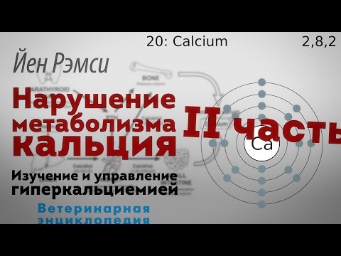 Видео: Нарушение метаболизма кальция. Изучение и управление гиперкальциемией