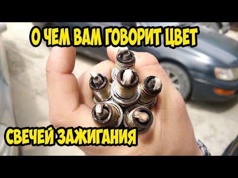 Видео: 🔴 О чем говорит цвет свечей?