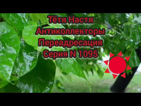 Видео: Тётя Настя. Серия N1095. Антиколлекторы. Диалоги с коллекторами. Банками. МФО