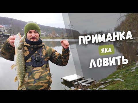 Видео: РИБАЛКА НА ЩУКУ з одною приманкою. ЗИМОВА ЩУКА на силікон keitech swing impact 3.5 - ВИБІР ПАЦАНА