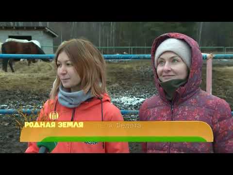 Видео: Родная земля от 22/12/2024 - ТНВ