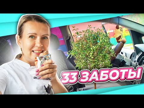 Видео: КАЛЕЙДОСКОП СОБЫТИЙ | В ШОКЕ ОТ МУЖА | ТАША РУКОПОП | ЧУЖОЕ ПЛАТЬЕ