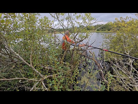 Видео: РИБОЛОВЛЯ. НЕЙМОВІРНА БОРОТЬБА ЗІ ЩУКОЮ — СНАСТЬ ПОРВАНА, АЛЕ УЛОВ Є!