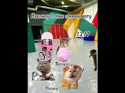 Видео: Рил: Дорога домой. Полное видео