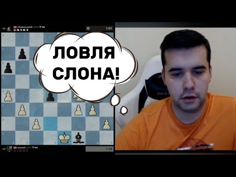 Видео: ЛОВЛЯ СЛОНА! ЯН НЕПОМНЯЩИЙ ИГРАЕТ БЛИЦ!