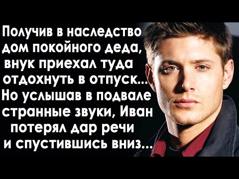 Видео: Получив в наследство дом деда, Иван приехал туда в отпуск. И заглянув в подвал, он чуть не поседел.