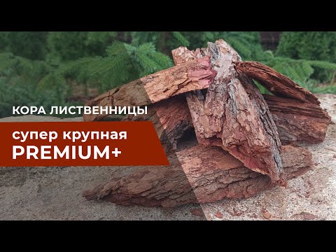 Видео: Кора лиственницы супер крупная - декор, зонирование посадок, бордюры вдоль дорожек