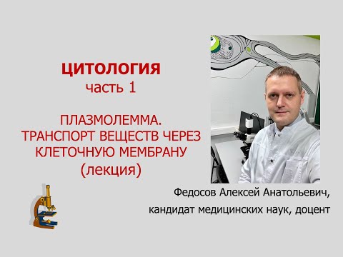 Видео: ЦИТОЛОГИЯ 1. ПЛАЗМОЛЕММА. ТРАНСПОРТ ВЕЩЕСТВ ЧЕРЕЗ КЛЕТОЧНУЮ МЕМБРАНУ (лекция по цитологии)
