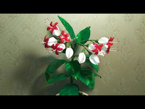 Видео: Клеродендрум из пластиковых бутылок. Мастер класс.