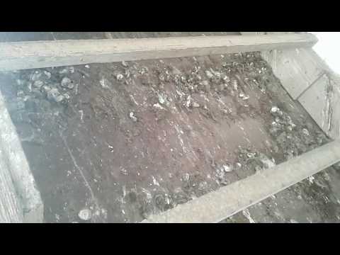 Видео: Насест для кур.