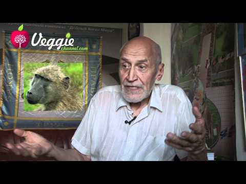 Видео: Николай Дроздов о строении зубов человека и животных