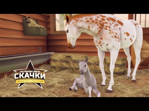 Видео: Разведение кастомных лошадей Леди и Абсент 🌺 Rival Stars Horse Racing 🌺 Версия на ПК