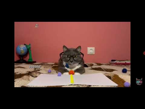 Видео: 2 ноября 2025 г.