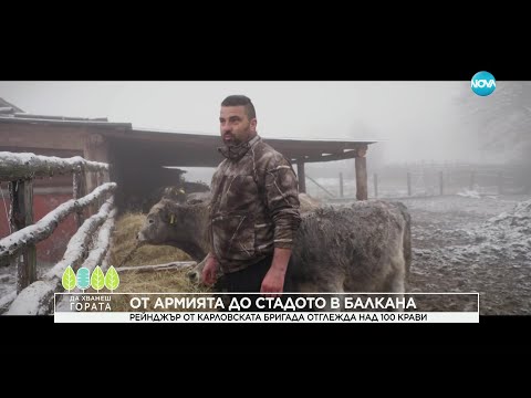 Видео: Да хванеш гората (12.02.2023)