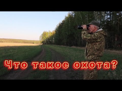 Видео: Что такое охота?