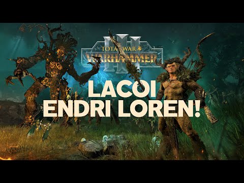 Видео: Разбор фракций и лордов Лесных Эльфов Total War Warhammer 3