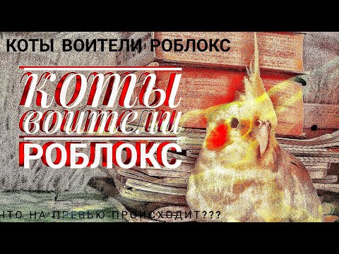 Видео: коты воители роблокс