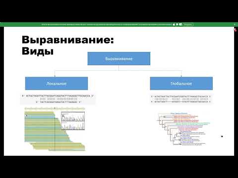 Видео: Выравнивание в биоинформатике. Алгоритм Смита-Ватермана на практике в python. СНК по биоинформатике