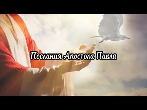Видео: Ибо весь закон в одном слове заключается: "люби ближнего твоего, как самого себя"