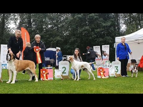 Видео: 20.09.2025, СПб. Клуб "Северная Венеция-1" (РКФ, РФОС). Выставка "ПЕТЕРБУРГСКАЯ ОСЕНЬ" (САС, ЧРКФ)