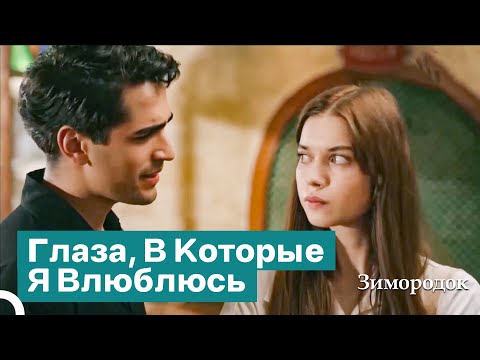 Видео: Как Я Встретил Любовь Всей Моей Жизни? | Зимородок