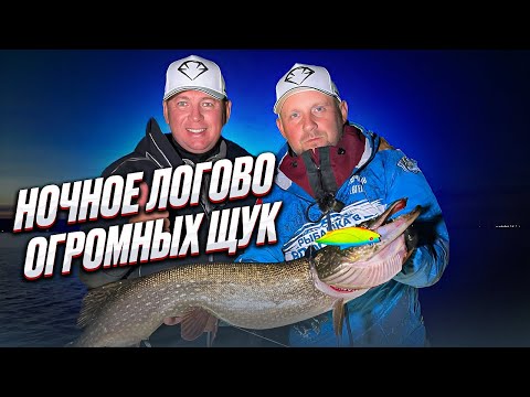 Видео: ❗️НОЧНАЯ РЫБАЛКА МЕЧТЫ НА ТРОФЕЙНУЮ ЩУКУ❗️