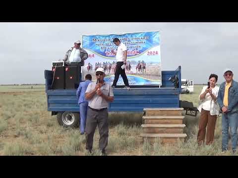 Видео: ТАЙ ЖАРЫС   2024