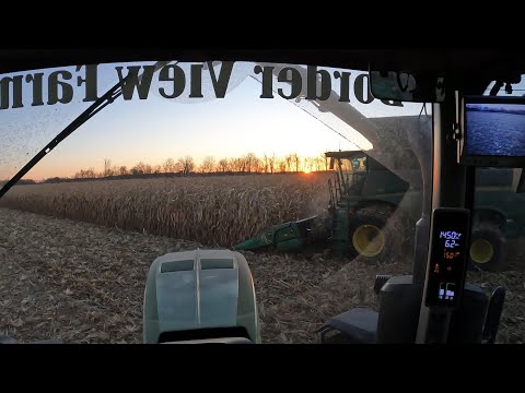 Видео: Лучшее поле кукурузы на данный момент!