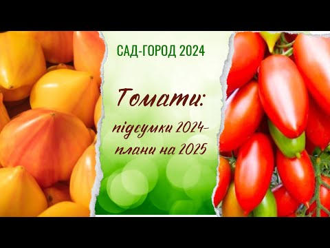Видео: Які томати посіяти у новому сезоні 2025 (та які результати у сезоні минулому)