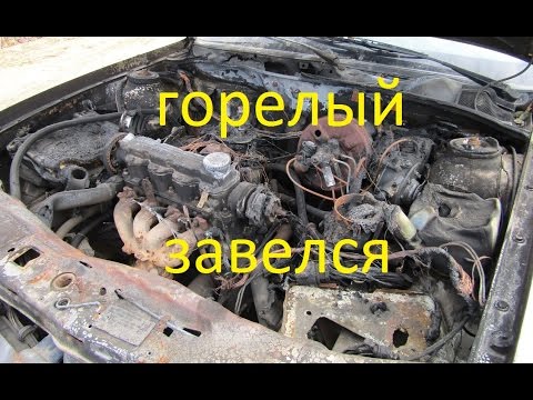 Видео: ГорелыЙ  завелся!!