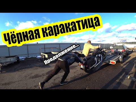 Видео: Оживление МЕРТВЕЦА, финал| HONDA VT1100 SHADOW после простоя |Чистка карбюратора. Первый запуск