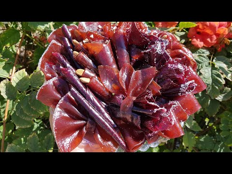 Видео: 10 շքեղ #ձևավորում #թթու_լավաշից։Հեղինակային տարբերակներ #пастила #ttu_lavash #dzevavorum