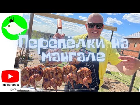 Видео: Как правильно пожарить перепёлок на мангале. Шашлык из перепелов