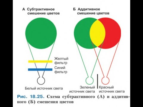 Видео: Зрение  - 2
