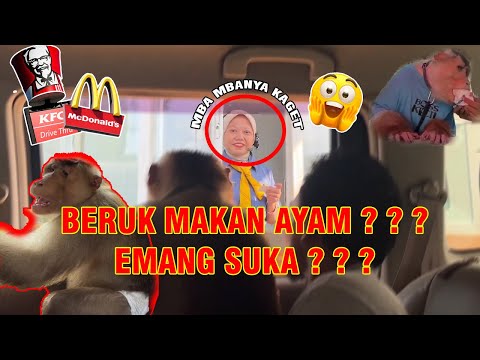 Видео: Возьмите Берука Бастиана в Drive Thru McD & KFC!!! Бастиан предпочитает это!