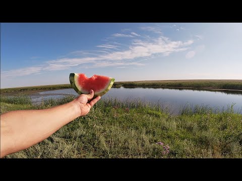 Видео: Рыбалка на Ишиме! 2 Часть!