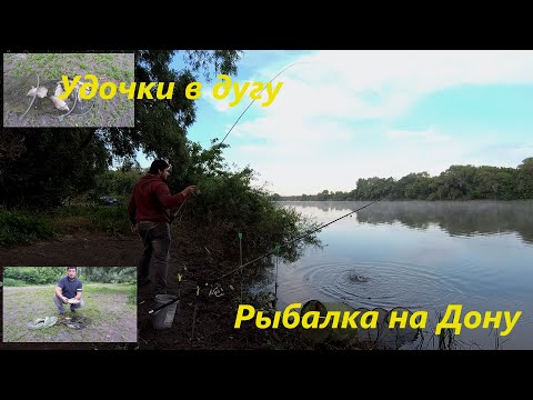 Видео: Удочки в Дугу от этих Рыбин|Рыбалка на Дону| Фидер в Шилово